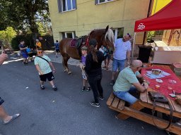 Úšovice se baví – 15. srpna 2026